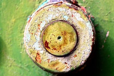 Close-up of weathered leaf on field