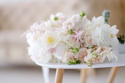 Close-up of white flowering plant