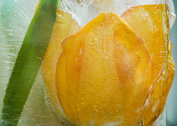 Close-up of ice cream