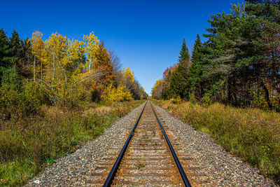 View of railroad track along plants