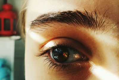 Close-up portrait of human eye