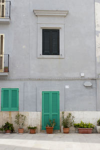 Potted plants on street outside building