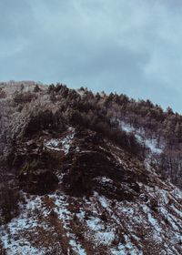 Trees on snow covered landscape against sky