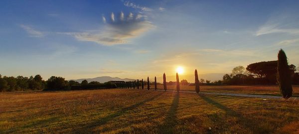 Scenic view of field against sky during sunset