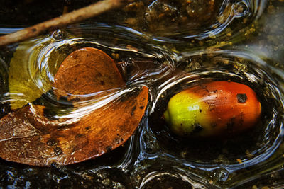 Full frame shot of water in glass jar