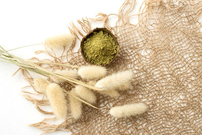 High angle view of vegetables on white background