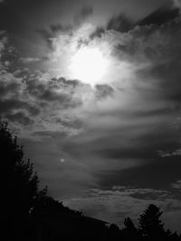 Low angle view of trees against sky
