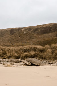 Scenic view of arid landscape against sky