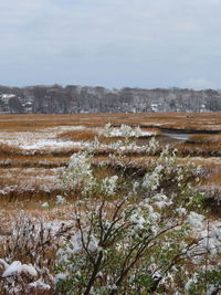 Scenic view of snow covered field against sky