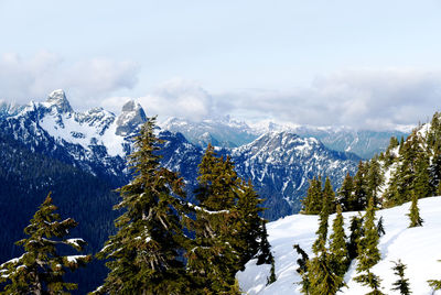 snow