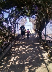 Rear view of woman walking on footpath