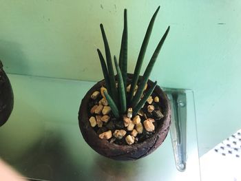 Close-up of noodles in bowl