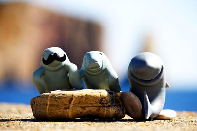 Close-up of stuffed toy on wood