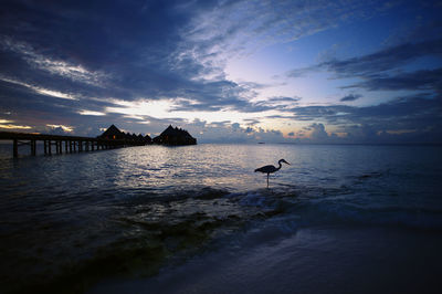 Scenic view of sea at sunset