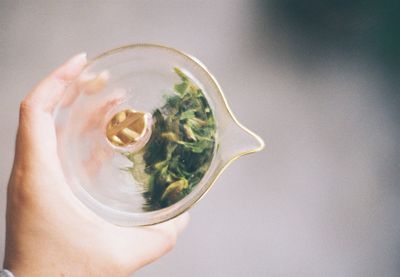 Close-up of hand holding tea 