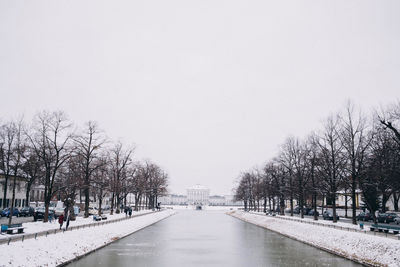 Bare trees in city against clear sky during winter