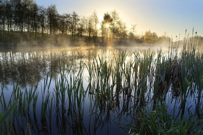 Scenic view of lake against sky