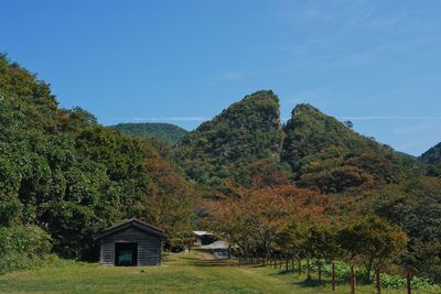 House amidst trees and plants against sky