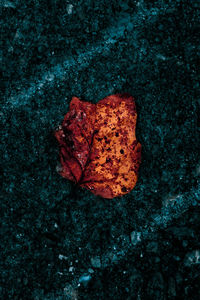 Close-up of autumn leaf on rock