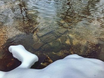 Close-up of hand in water