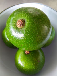 High angle view of lemon in container