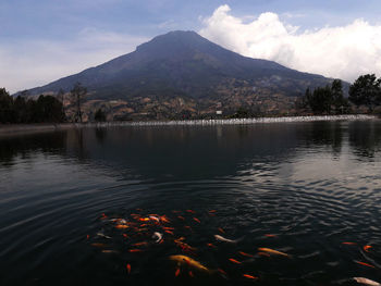 Scenic view of lake by mountains against sky