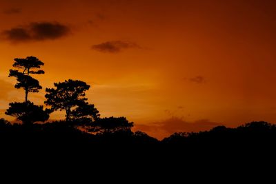 Silhouette trees against dramatic sky during sunset