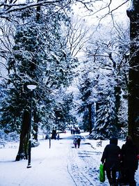 Snow covered road in winter