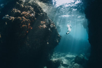 Man swimming in sea