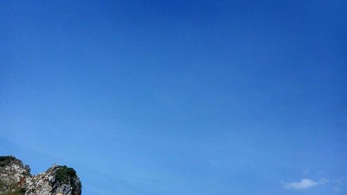 Low angle view of trees against clear blue sky