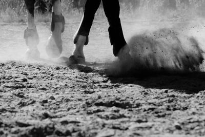 Low section of people walking on sand