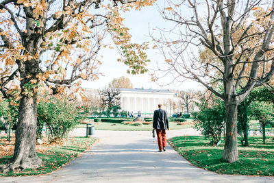 Rear view of man walking on street amidst trees