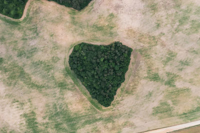 Close-up of heart shape on wall