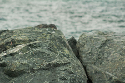 Close-up of rock in sea