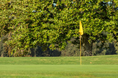 View of golf course and flag with green trees in background