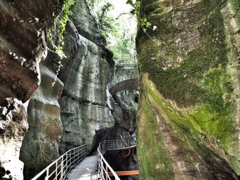 Panoramic view of rock formation amidst trees