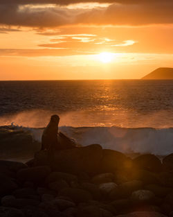 A wave crashing in front a of seal during sunset in the galapagos.