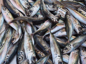 Full frame shot of fish for sale at market