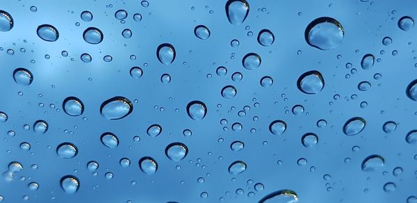 Close-up of water drops on window