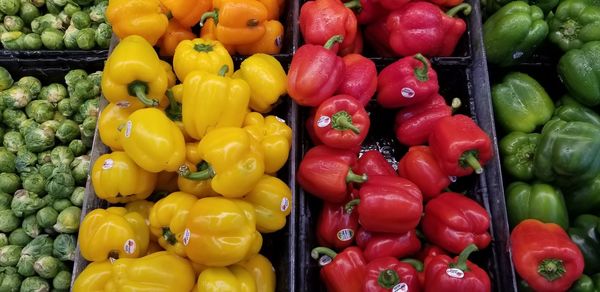 Of multi colored bell peppers for sale in market