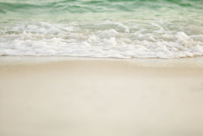 Scenic view of beach