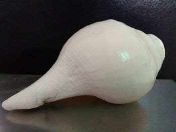 Close-up of white garlic on table