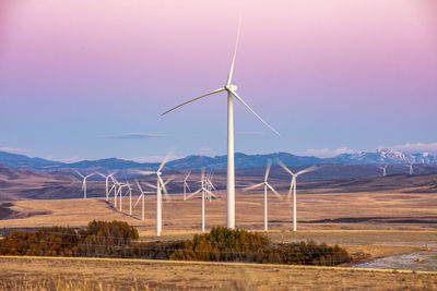 Wind turbines in a field with clear purple sky