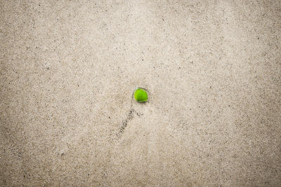 High angle view of toy on sand