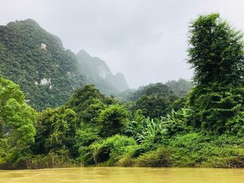 Scenic view of tree mountains against sky