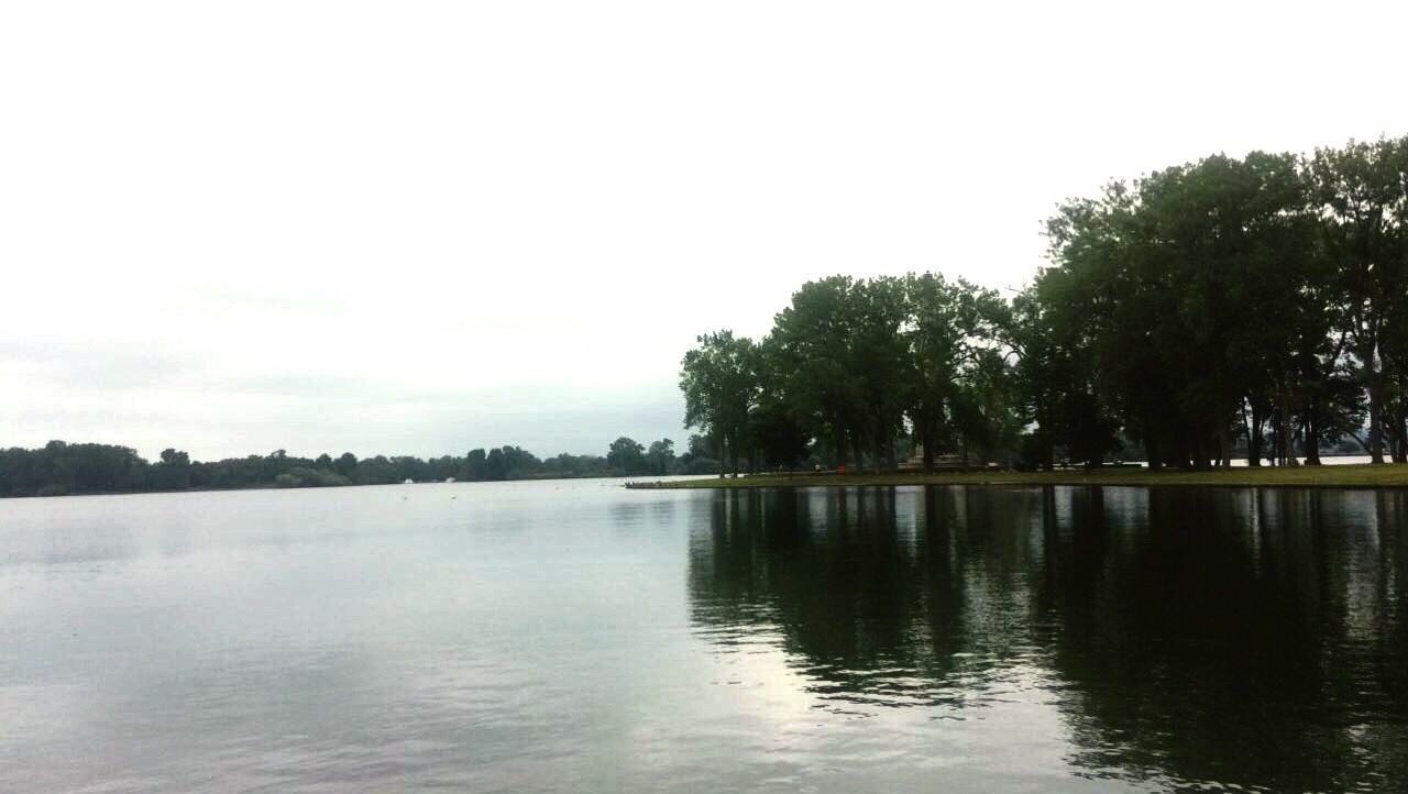 tree, water, reflection, nature, tranquility, sky, beauty in nature, lake, no people, outdoors, clear sky, day