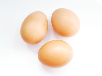 Close-up of eggs against white background