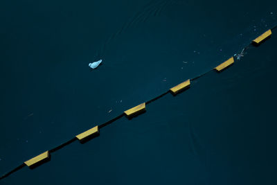 High angle view of bird swimming on lake