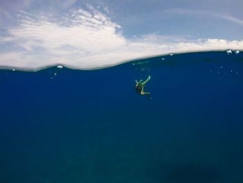 Person swimming in sea