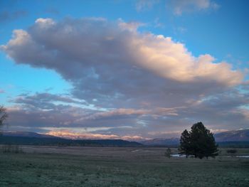 Scenic view of field against sky at sunset